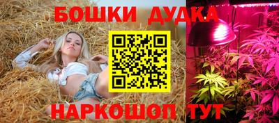 мет Бийск